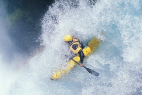 贝尔哈德·福特：突破型球员，令全黑队进攻更具灵活性，贝尔福特vs猿人